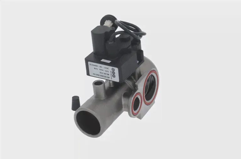 Сливной клапан пароконвектомата RATIONAL 56.00.618 S Fagor single 12V-0