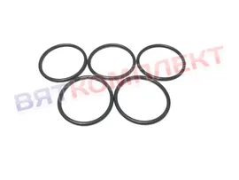 Кольцо круглого сечения для насоса Rational LM1 LM2; B-G 56.01.631P
