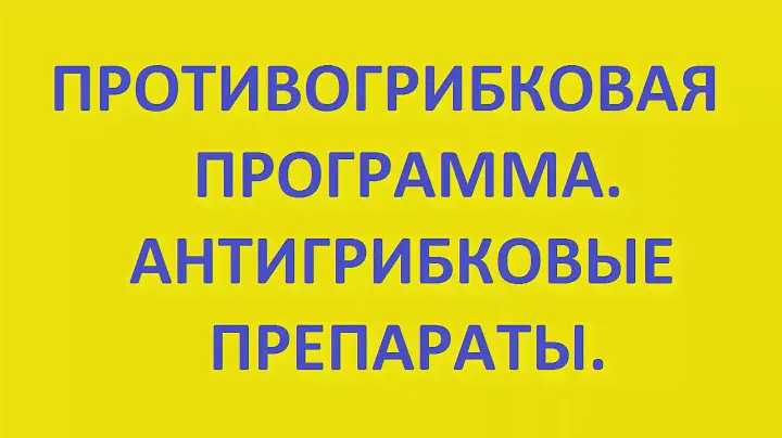 противогрибковая программа. антигрибковые препараты. противогрибковая диета