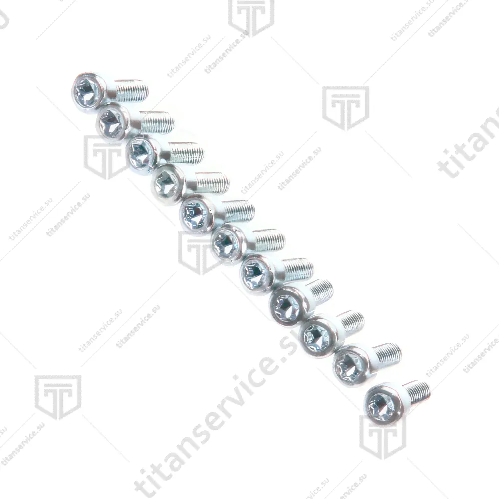 Винт с плоско-выпуклой головкой Torx Т20 М4х12 Rational 10.00.061P
